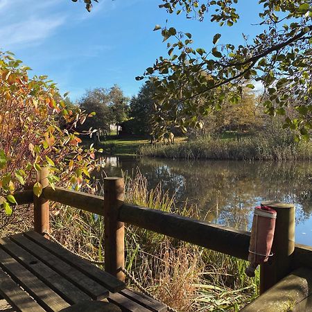 Hazel Oaks, Beautiful Lodge With Hot Tub - Sleeps 6 - Felmoor Park Morpeth Exterior photo